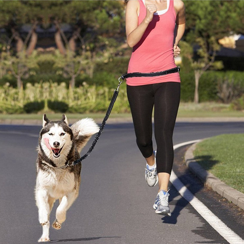Adjustable Pet Harness Collar And Leash Set For Jogging And Walking
