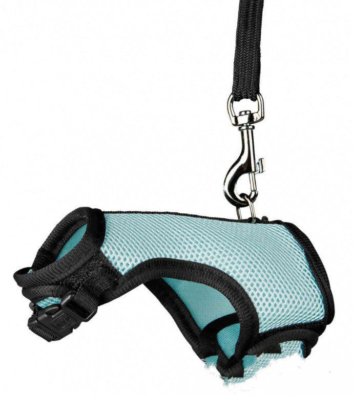 Enhance Your Pet's Walking Experience with Our Comfortable Leash