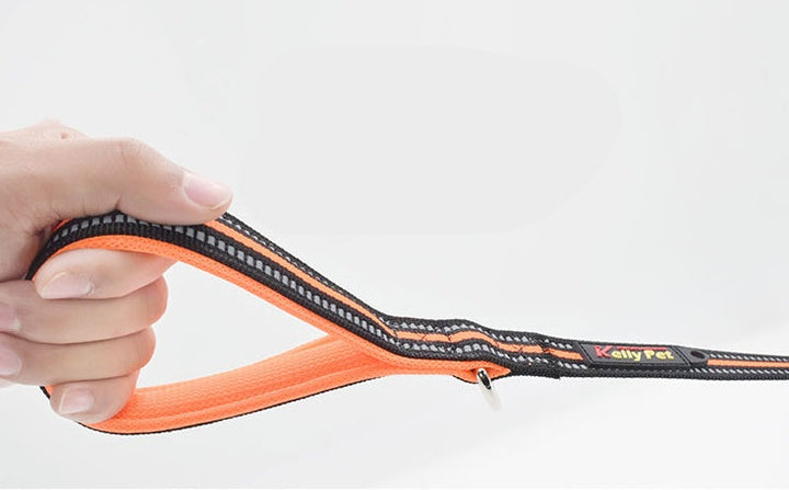 Discover the Ultimate Comfort and Control with Our Nylon Retractable Pet Leash