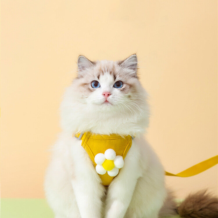 Why Your Pet Deserves the Anti Breakaway Pet Chest Harness Leash