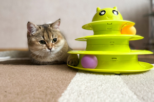 Endless Fun Through Play