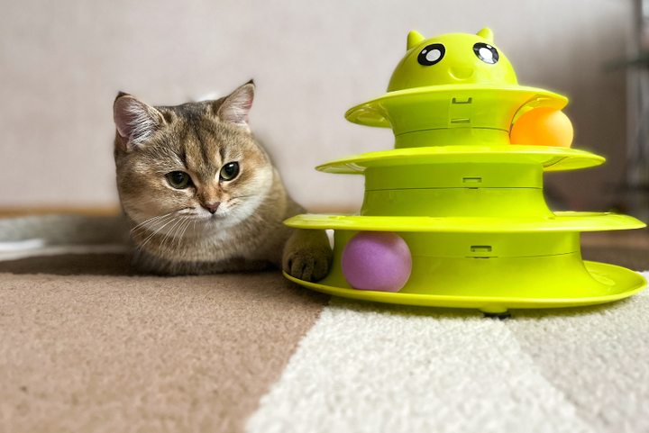 Endless Fun Through Play