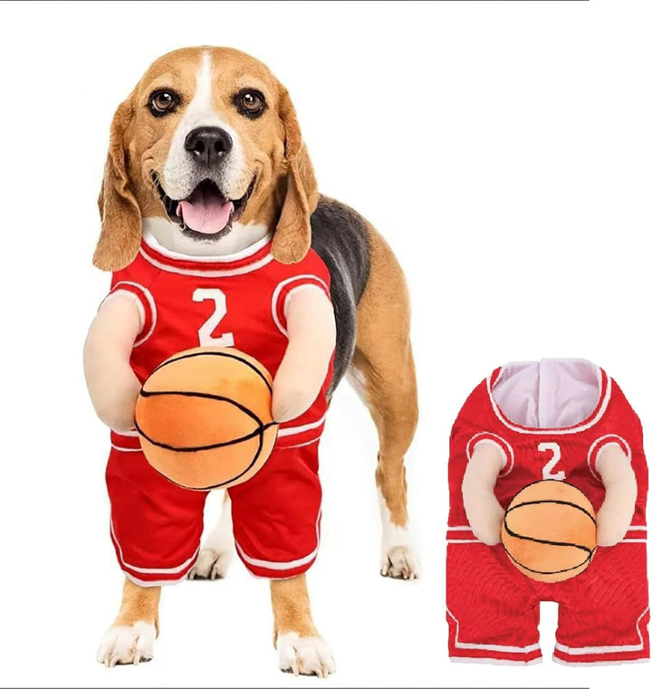 Unleash Your Pup’s Inner Champion This Halloween!