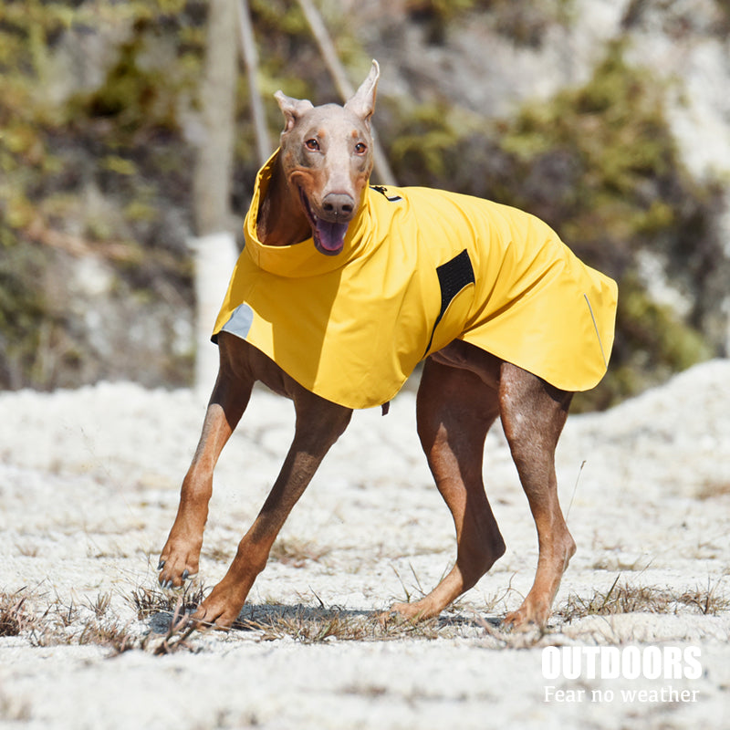 666b054f06cbfbd2d2b1b4b2db4594ed