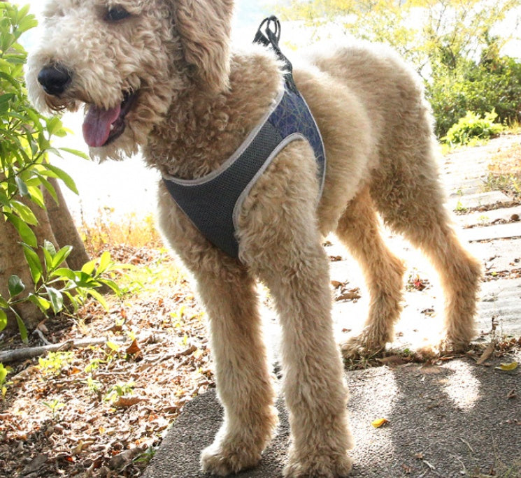 489186d7dd58a796f30e11b29f573b2